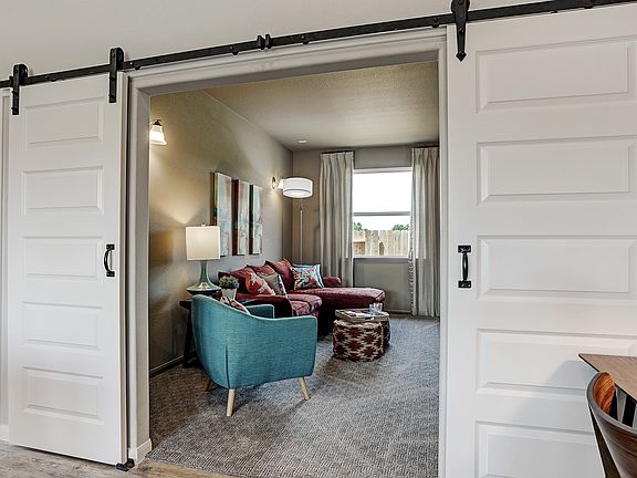 Media room with barn doors option