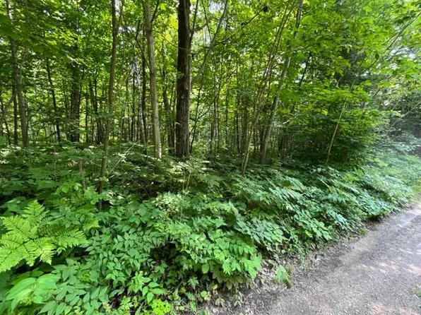 LOT 218 Ute Ln, Millersburg, MI 49759