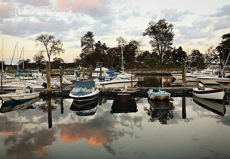 Cove Marina