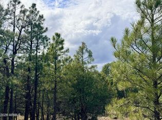 2588 Spoonbill Drive #7, Happy Jack, AZ 86024