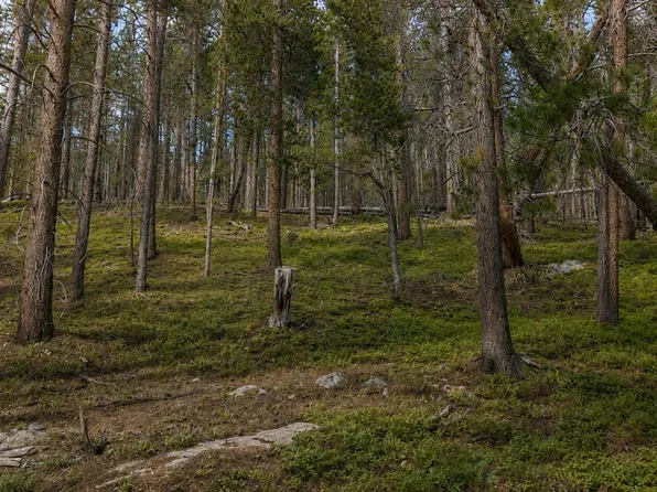 000 Steuart Road LOT 375, Idaho Springs, CO 80452