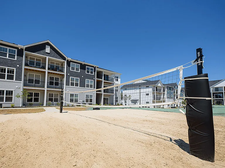 Professional Size Volleyball Court