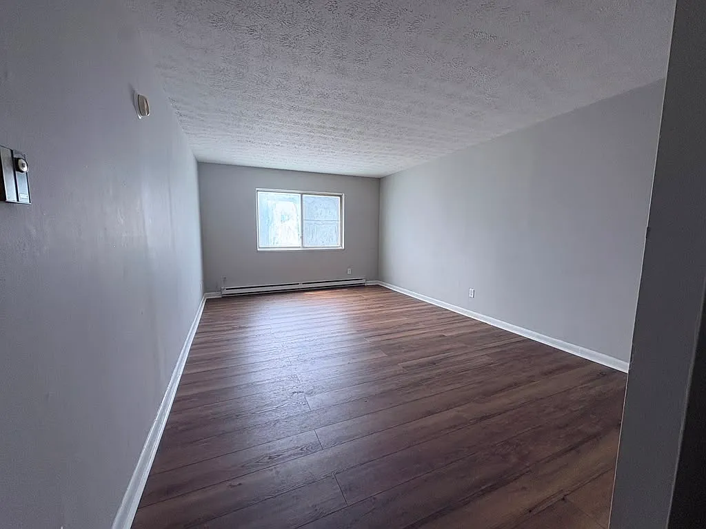 1 bed, $1,300 — Photo 4