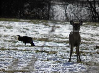 140 Murphy Rd, Newport, NY 13416