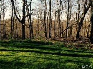 704 Crown Pointe Farms, Defiance, MO 63341