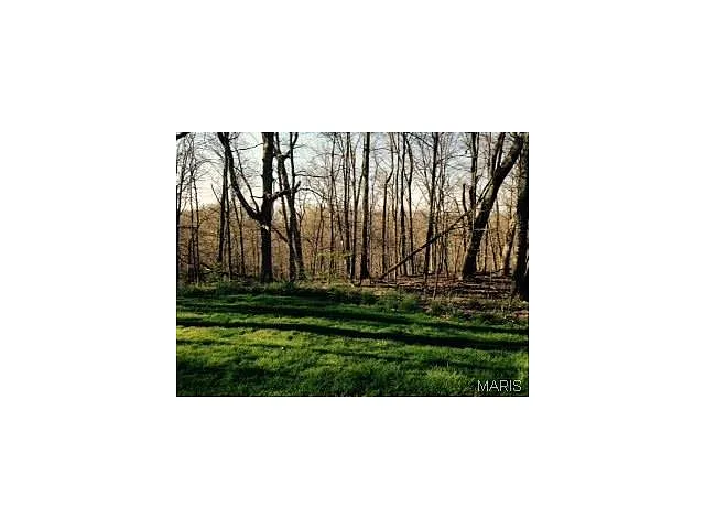 704 Crown Pointe Farms photo 1
