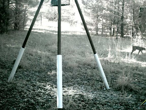 4th image of E Highway 82