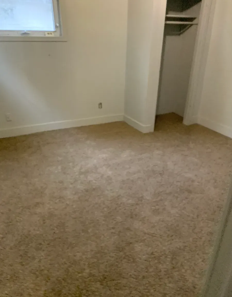 82 Beattie Ave — Photo 4