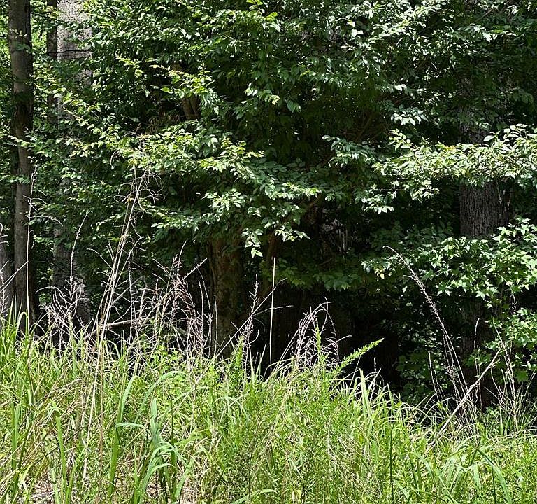1st image of LOT 133 Bishop Dr