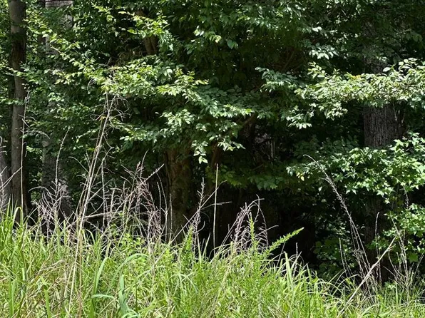 LOT 133 Bishop Dr, Montross, VA 22520