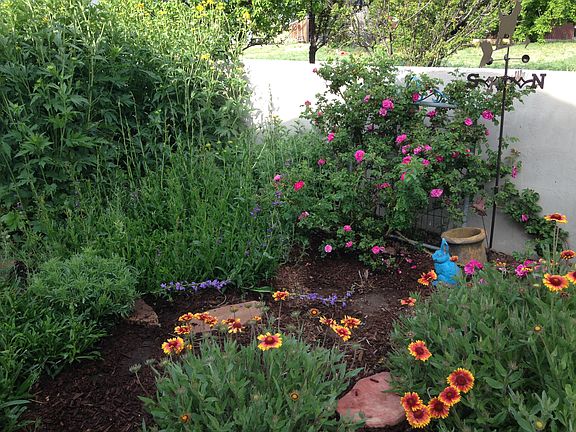 Perennial garden 