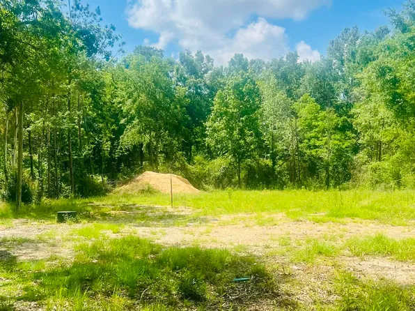 9756 Plank Rd, Clinton, LA 70722