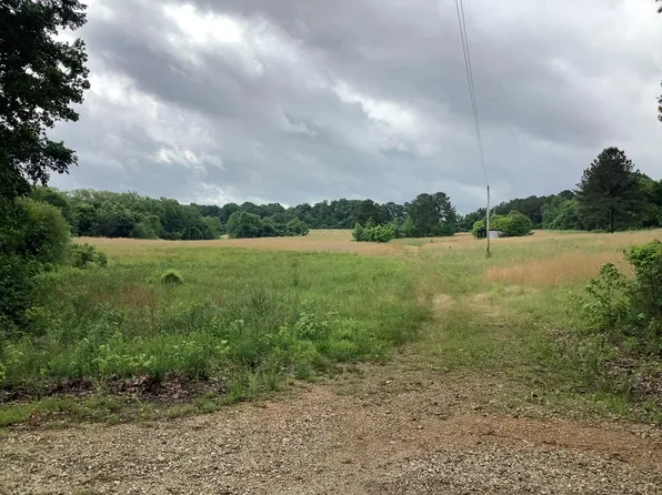 0 Ben Smith Rd, Mc Kenzie, TN 38201