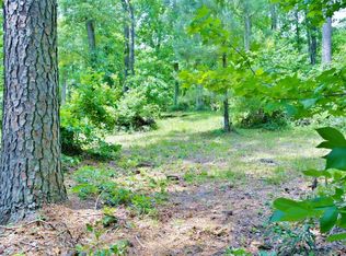 695 Lake Shore Dr, Coldspring, TX 77331