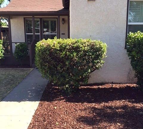 3rd image of 4438 E Illinois Ave