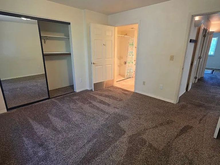 295 Tolman Creek Rd — Photo 10