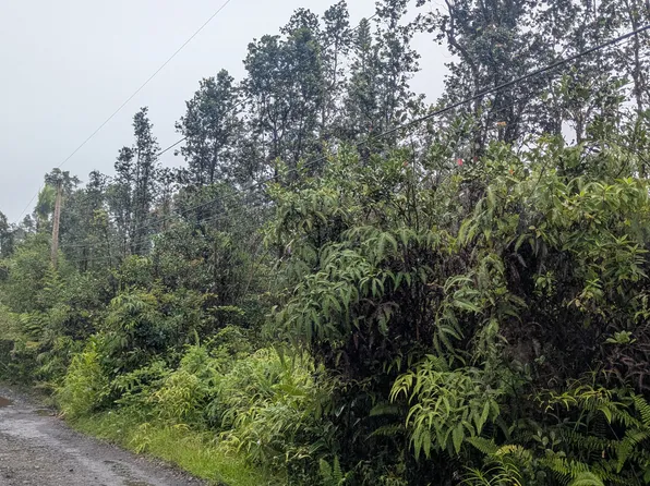 Road 3 Hopue Lot 2986, Mountain View, HI 96771