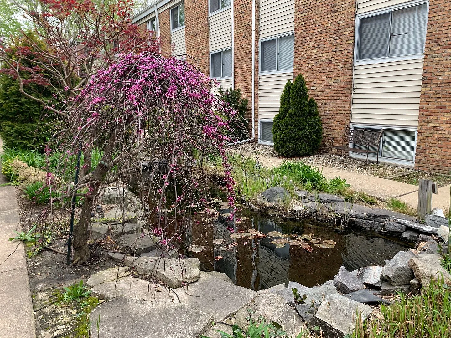 Garden Court — Photo 2