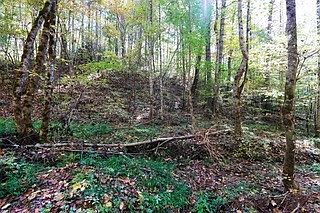 2nd image of 1145 Towee Pike #H