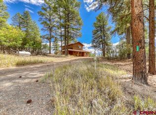 120 Big Horn Ct, Pagosa Springs, CO 81147