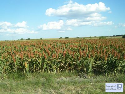 0 Stagecoach Rd, Seguin, TX, 78155