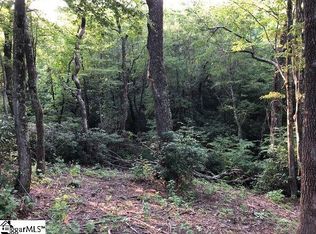 8021 Glassy Ridge Rd, Landrum, SC 29356