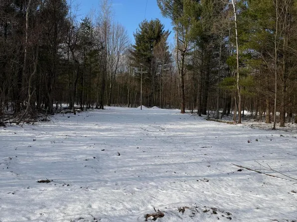 5409 105th Ave, Pullman, MI 49450