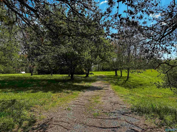 7202 Jernigan Hollow Rd, Athens, AL 35614
