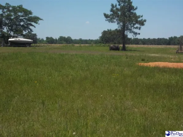 W Jackson St, Lamar, SC 29069