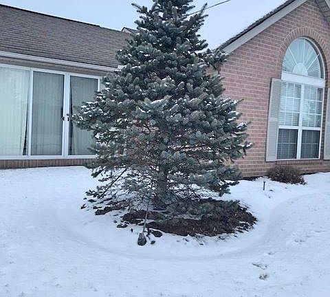 3rd image of 6016 Blendon Chase Dr