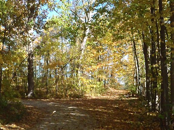 Lane Left Or Straight