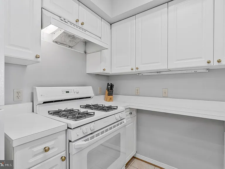 1625 International Dr #321 — Photo 9