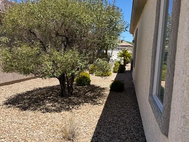2509 Jade Sky St — Photo 20
