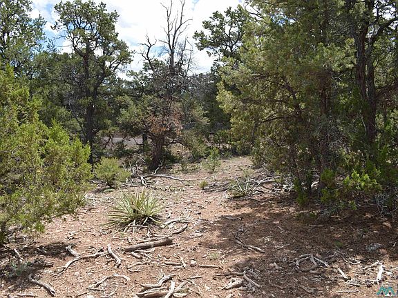 4th image of Pikes Rd