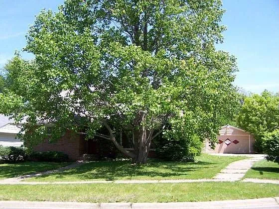 2220 Montana Ave photo 1