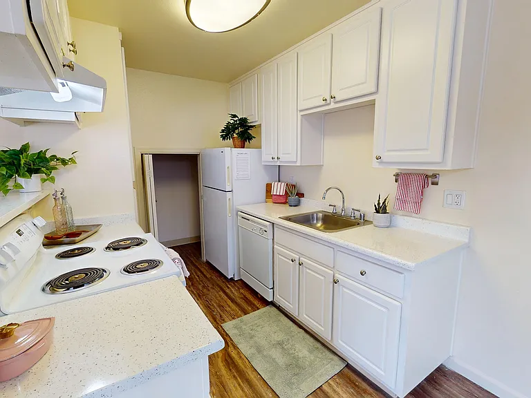 Shared Kitchen Shared Kitchen