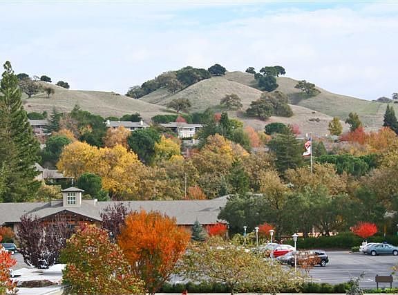 View out Wall of Windows