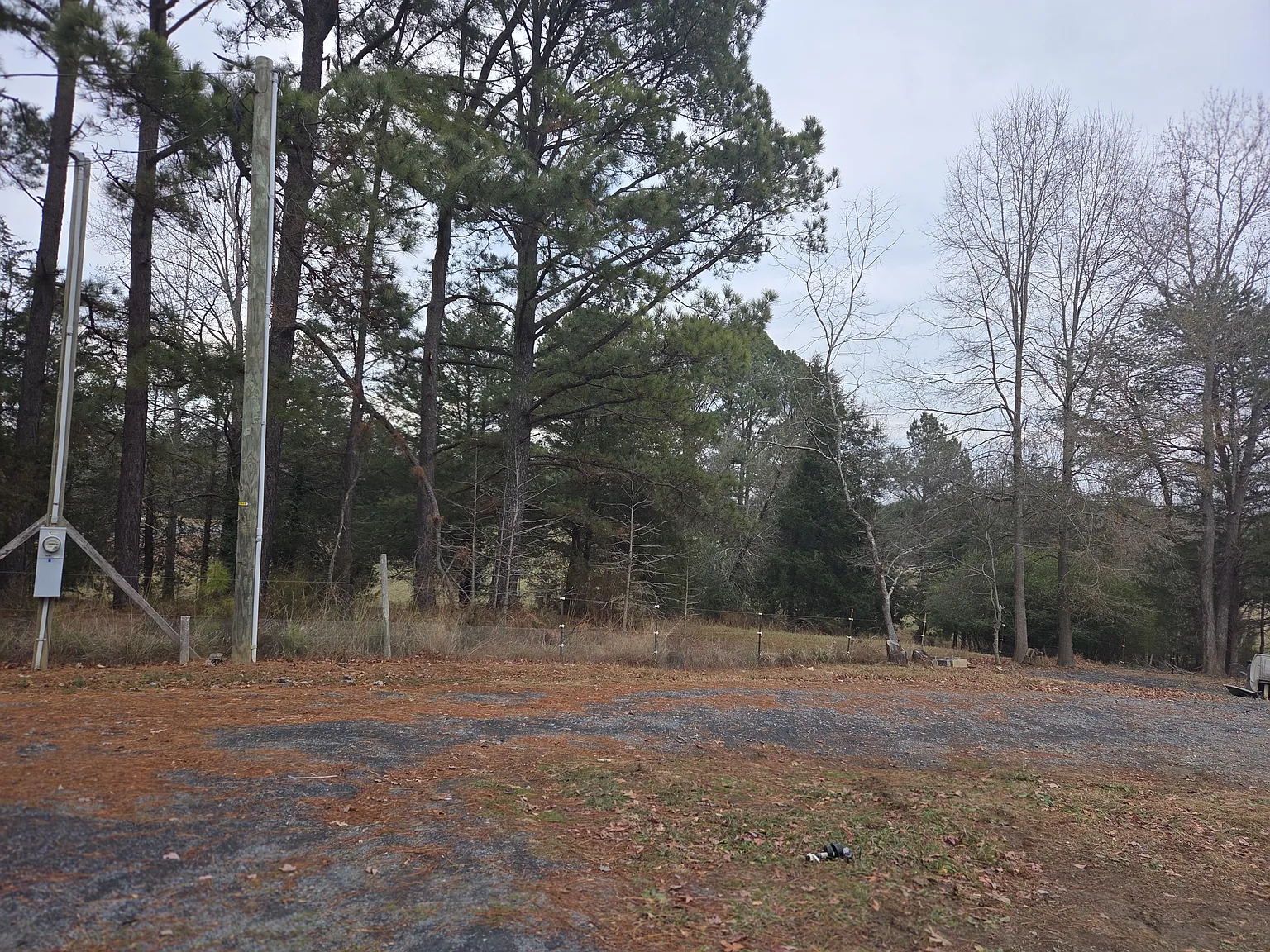 3 bed, $1,600 — Photo 2