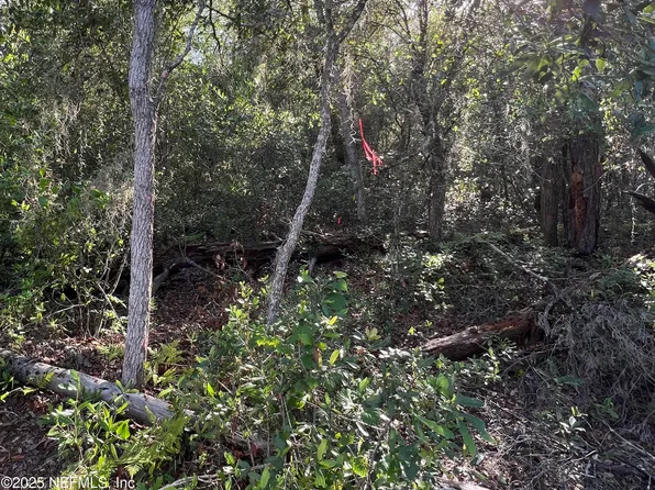 309 OLEANDER Street, Pomona Park, FL 32181