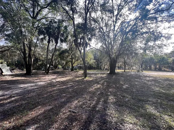 11159 N Clamdigger Ter, Inglis, FL 34449