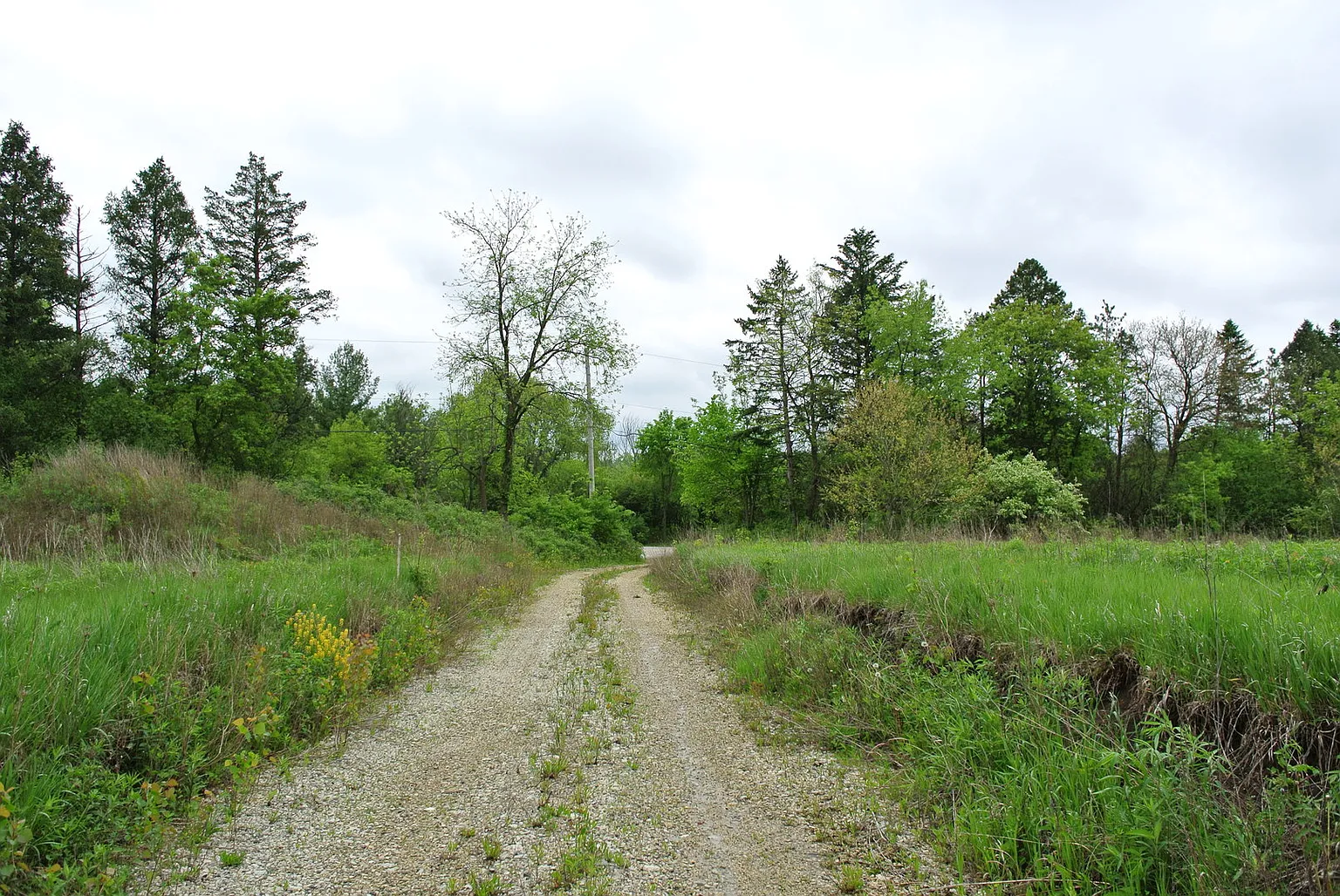 177 Dundee Rd #C photo 1