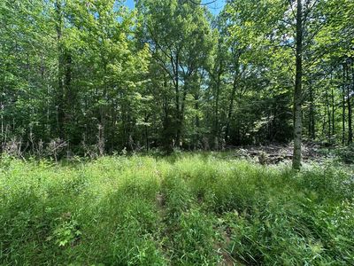 5201 Highway 150, Sequatchie, TN, 37374