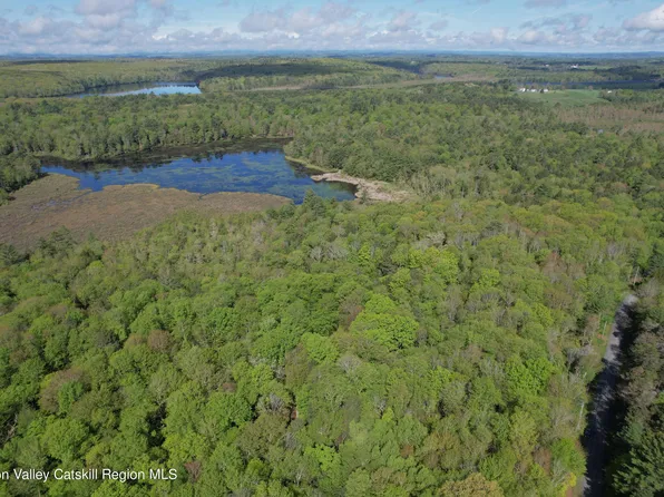 Tbd Deer Meadow Road, White Lake, NY 12786