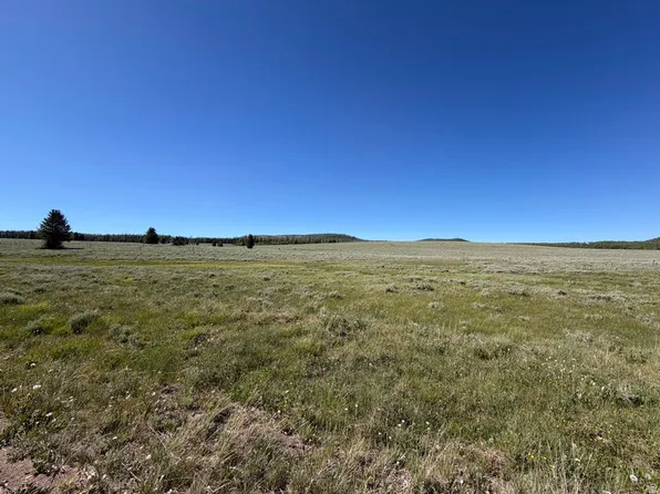 2479 E Meadow Lake Dr, Brian Head, UT 84719