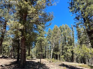 121 Lake Dr W, Divide, CO 80814