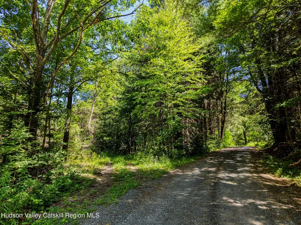 Lot 7.2 Route 23c, Prattsville, NY 12468
