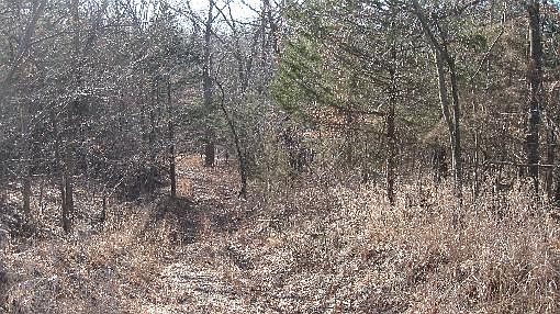 2nd image of 3517 Highway 87