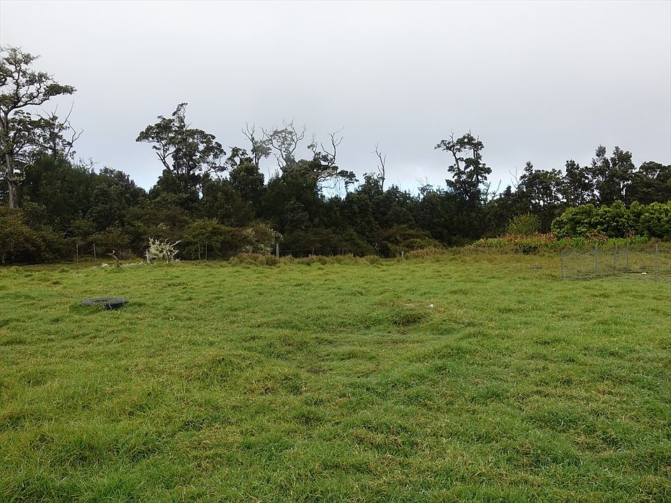 2nd image of Alanui Iiwi Lot 177