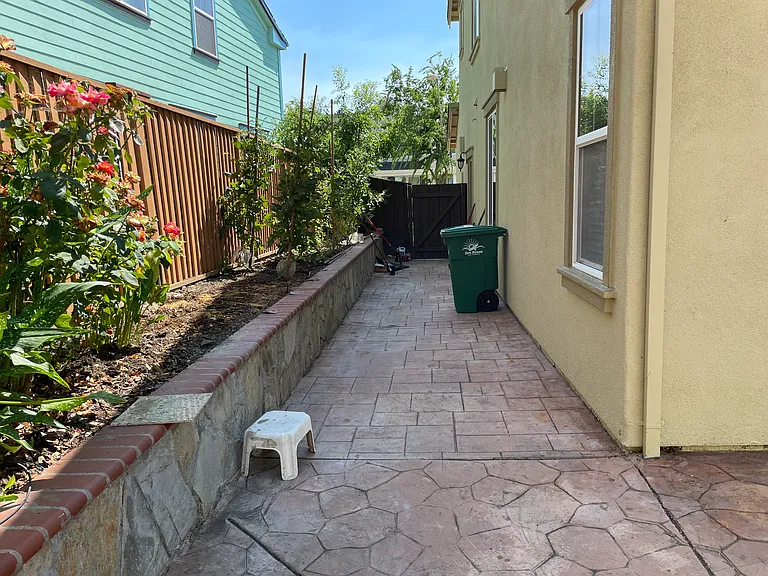 Left side yard