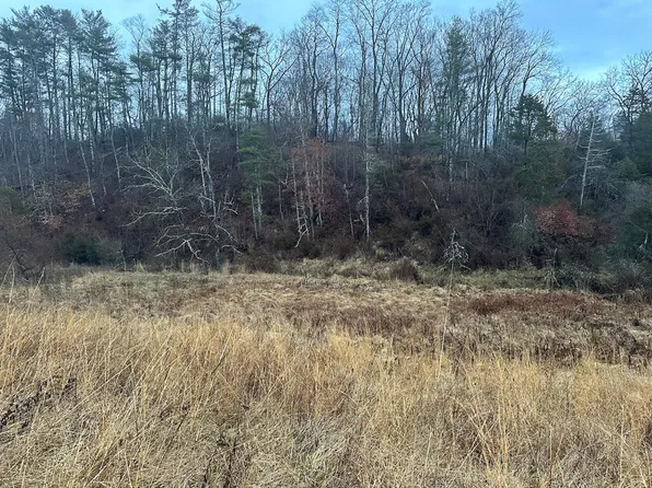 Dunford Rd, Max Meadows, VA 24360